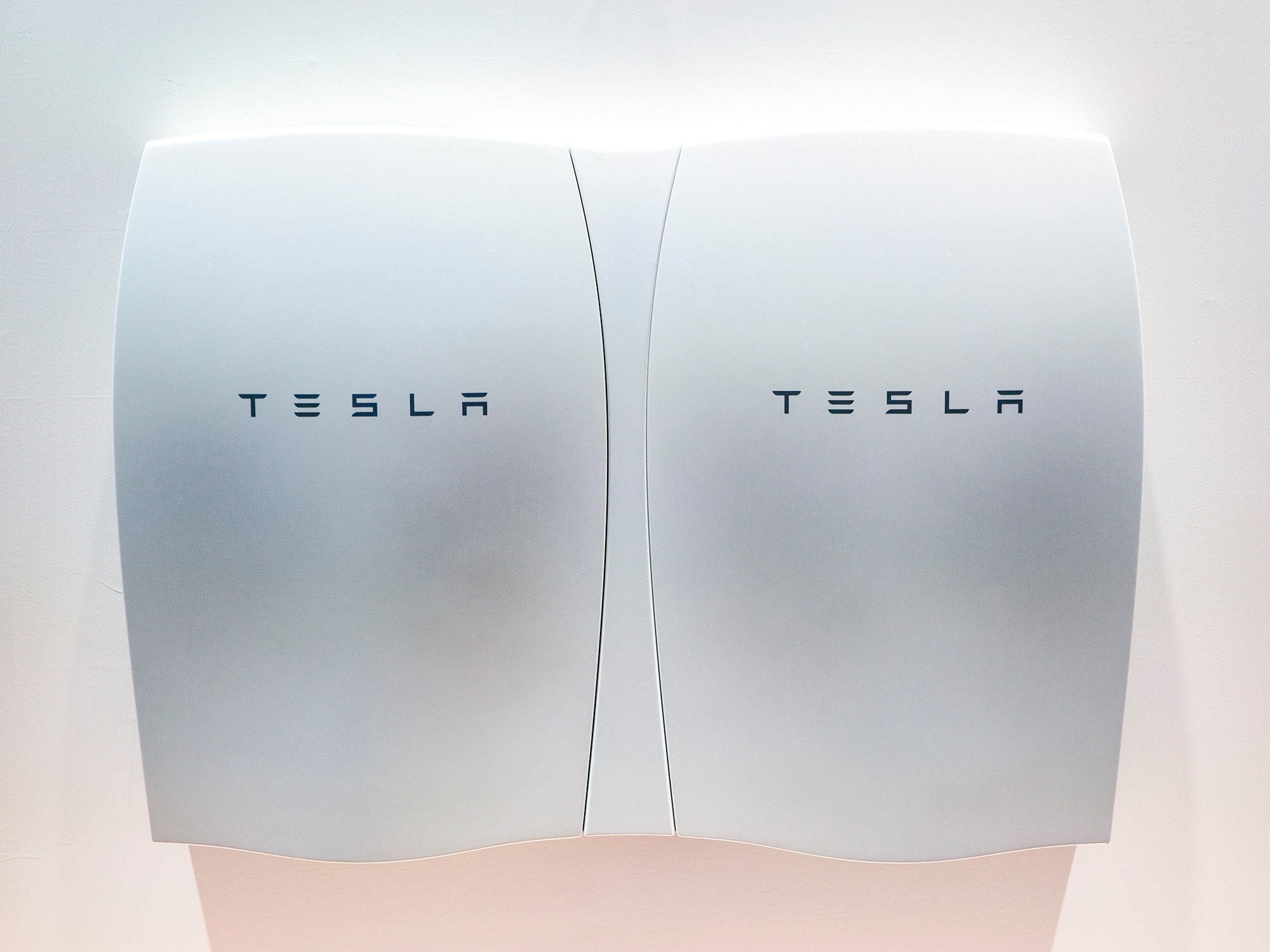 Elon Musk est un Bio Entrepreneur de génie