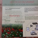 Les-Amanins-cycle-vivant-eco-entreprenariat
