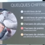 Les-Amanins-production-agricole-eco-entreprenariat