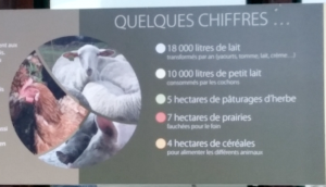 Les-Amanins-production-agricole-eco-entreprenariat